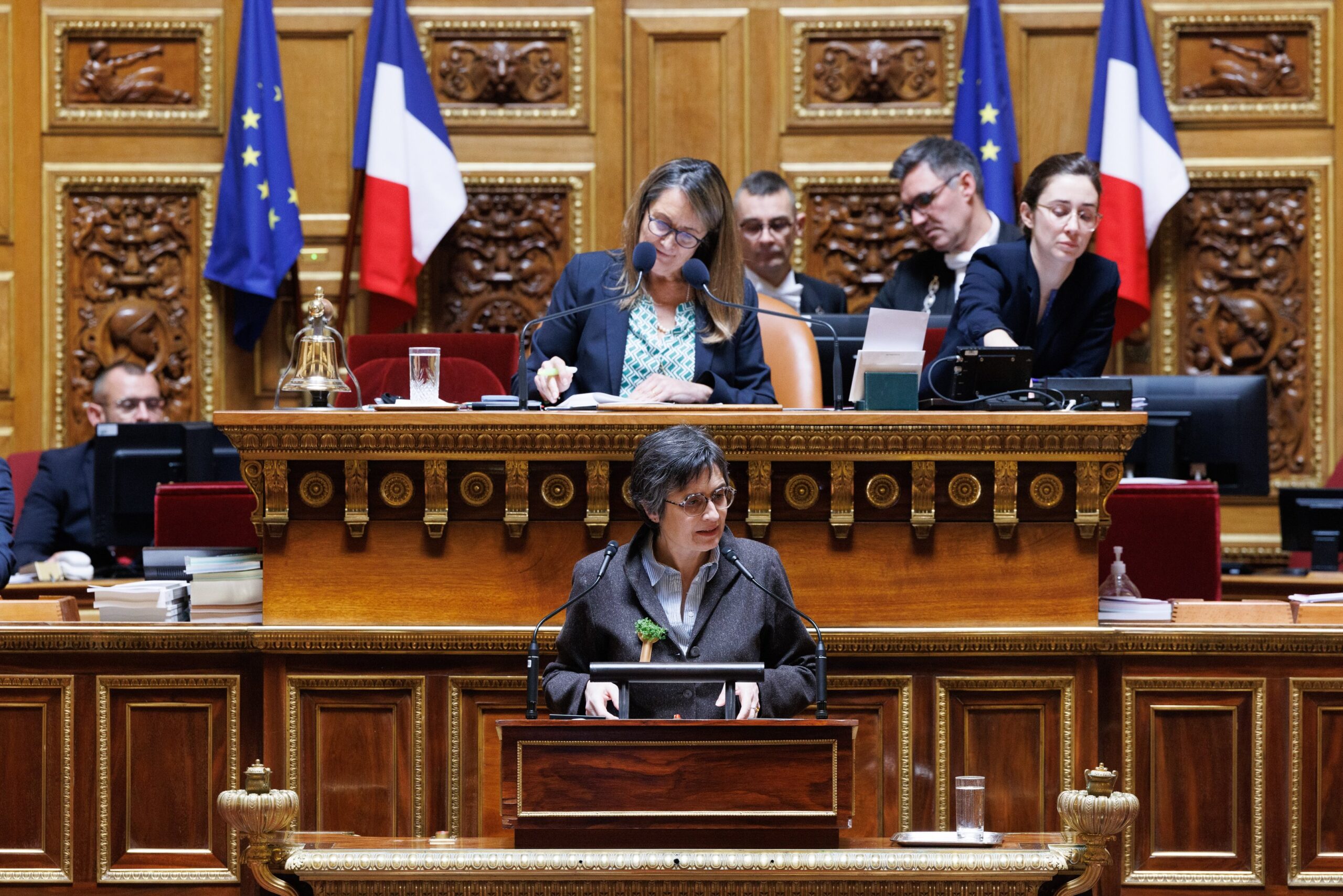 Ghislaine Senée à la tribune